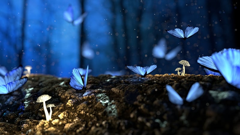 Enchanted Forest Wall Art